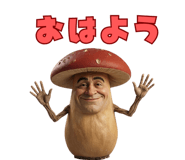852729681