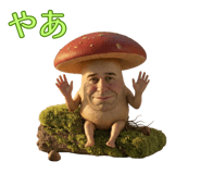 852729682