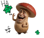 852729687