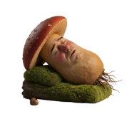 852729696