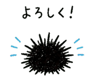 852730067