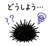 852730072