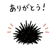 852730080