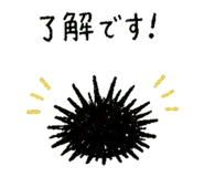 852730081