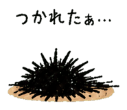 852730084