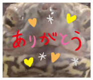 852730307