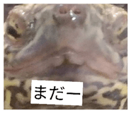 852730308