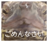 852730309