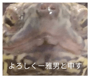 852730310