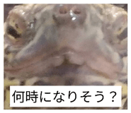 852730311
