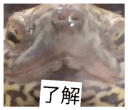 852730312