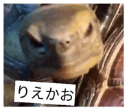 852730314