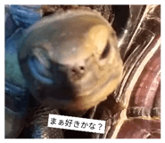 852730318