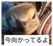 852730319