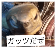 852730320