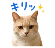 852730386