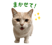 852730400