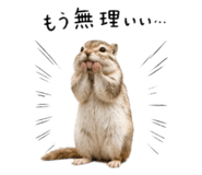 852730408