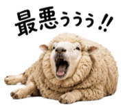 852730436