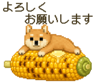 852730884