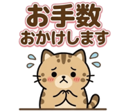 852731219