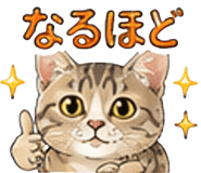 852731498