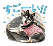 852731581