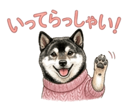 852731588