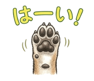 852731593