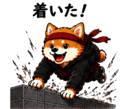 852732313