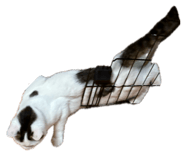 852734735