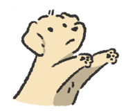 852735319