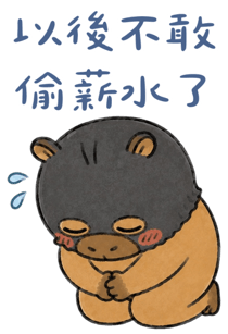 852736468
