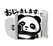 852737017