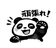 852737023