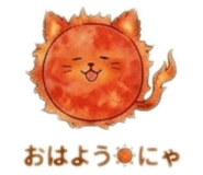 852738081