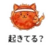 852738099