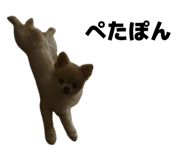 852738285