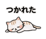 852738948
