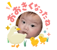 852739708