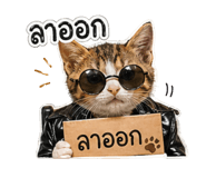 852740822