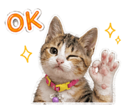852740903