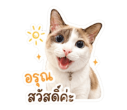 852742770