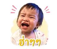 852743941