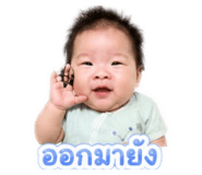 852744427