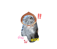 852747970