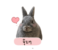 852752568