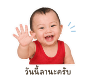 852753007