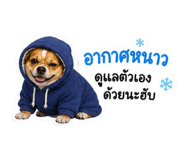 852753600