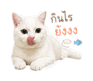 852759098